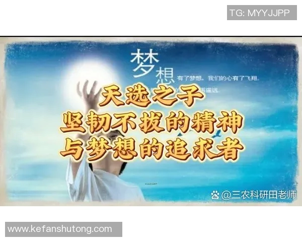 莫廷的传奇人生与时代变迁中的坚韧追求