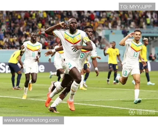 塞内加尔与瑞士控球对决分析揭示战术博弈与球队优势