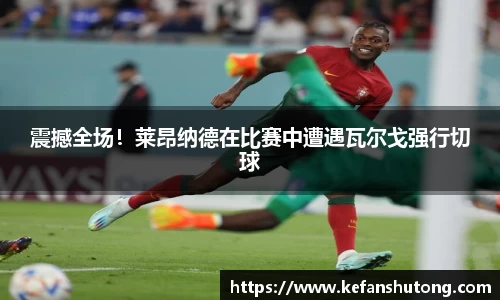bevictor伟德官网下载